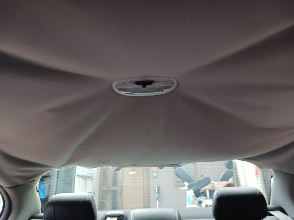 ジャガー張替え