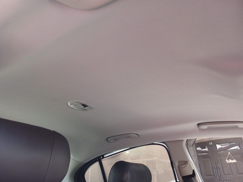 ジャガー張替え